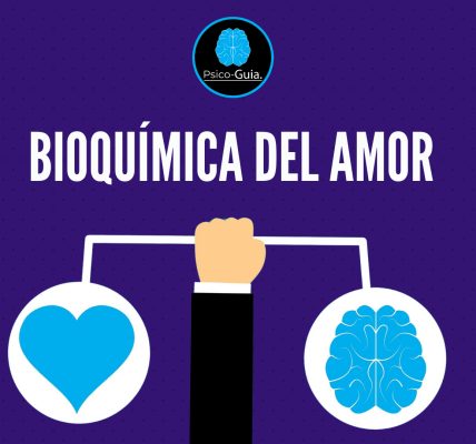 Bioquímica del Amor El cerebro, con sus cien mil millones de neuronas, es la sede del deseo y el amor; en el cerebro se gestan los procesos que nos hacen desear y amar. Sin embargo, los neurólogos, los antropólogos, los sexólogos y los psicólogos coinciden en el sentido de que el amor es una experiencia absolutamente espiritual. Ni siquiera los más sexistas de entre nosotros pueden negar y desacreditar este hecho.