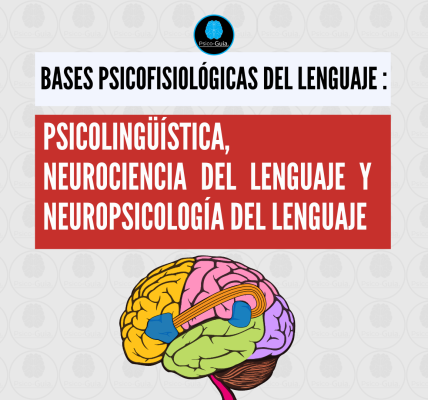 El lenguaje es el mecanismo principal por el cual los seres humanos nos comunicamos, expresamos ideas y compartimos pensamientos, en la realización de este proceso, participan diversas áreas del cerebro que trabajan en conjunto para el resultado final. Generalmente se cree que el lenguaje como tal está comandado por centros específicos los cuales se encargan de su procesamiento, de-codificación y producción, pero como abordaremos, esta premisa puede no estar del todo en lo correcto y más allá de centros de control se plantea el concepto de “asambleas” o "redes" que infieren en el resultado final. En el cerebro humano el lenguaje hace parte de las funciones cerebrales complejas o funciones mentales superiores. Las funciones cerebrales complejas se definen como una serie de capacidades que permiten en el ser humano conocer e interpretar la realidad, tener pensamientos, ideas, abstracción, realizar juicios, tomar decisiones, comunicarse a través del lenguaje, almacenar una vasta información en la memoria, tener deseos y motivaciones y experimentar emociones (Porrero y Hurlé, 2015).
