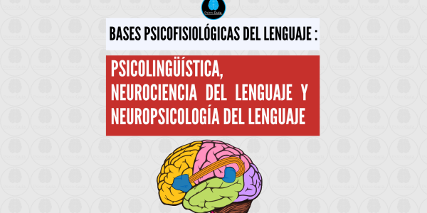 El lenguaje es el mecanismo principal por el cual los seres humanos nos comunicamos, expresamos ideas y compartimos pensamientos, en la realización de este proceso, participan diversas áreas del cerebro que trabajan en conjunto para el resultado final. Generalmente se cree que el lenguaje como tal está comandado por centros específicos los cuales se encargan de su procesamiento, de-codificación y producción, pero como abordaremos, esta premisa puede no estar del todo en lo correcto y más allá de centros de control se plantea el concepto de “asambleas” o "redes" que infieren en el resultado final. En el cerebro humano el lenguaje hace parte de las funciones cerebrales complejas o funciones mentales superiores. Las funciones cerebrales complejas se definen como una serie de capacidades que permiten en el ser humano conocer e interpretar la realidad, tener pensamientos, ideas, abstracción, realizar juicios, tomar decisiones, comunicarse a través del lenguaje, almacenar una vasta información en la memoria, tener deseos y motivaciones y experimentar emociones (Porrero y Hurlé, 2015).
