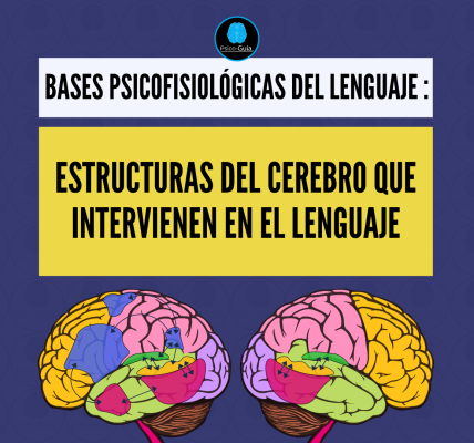 De esta manera surgen los modelos teóricos que buscan explicar y ubicar la complejidad del proceso del lenguaje humano con el propósito de dar sentido tanto a los hallazgos como a las afecciones relacionadas al mismo. Algunos de estos modelos son: Modelo Broca y Wernicke (Localizacionismo y Conexionismo) Modelo Wernicke - Lichtheim (Conexionista Clásico) Modelo de Geschwind (Neoconexionista) Modelo de doble ruta de Hickok y Poeppel Modelo jerárquico de John Hughlings Jackson. Modelo Neo-localizacionista de Korbinian Brodman Modelo de los procesos de Luira