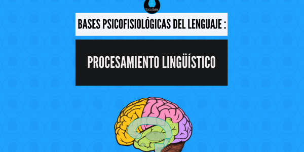 Procesamiento lingüístico
