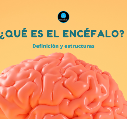 El encéfalo es la estructura más importante del sistema nervioso, ya que es responsable de coordinar y controlar todas las funciones corporales. Sin el encéfalo, no podríamos pensar, sentir, movernos ni realizar cualquier tarea diaria. El encéfalo consta de 3 estructuras principales, de el cerebro, el cerebelo y el tronco cerebral.