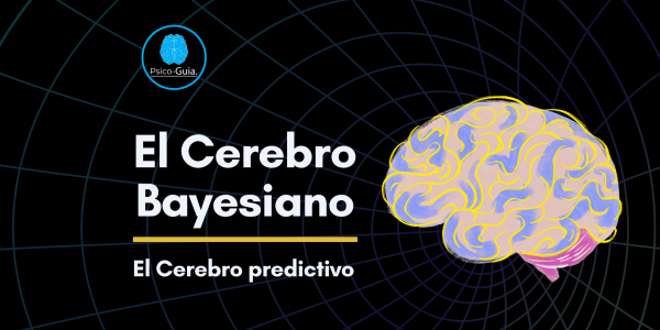 El Cerebro Bayesiano