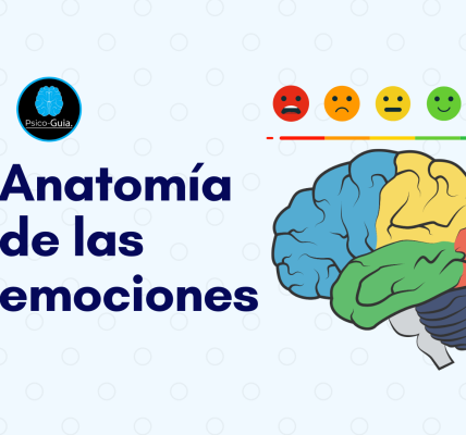 Anatomía de las emociones