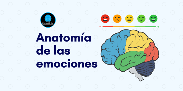 Anatomía de las emociones