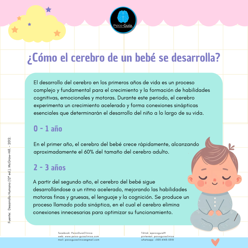 urante este periodo, el cerebro experimenta un crecimiento acelerado y forma conexiones sinápticas esenciales que determinarán el desarrollo del niño a lo largo de su vida.