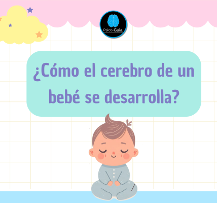 Durante este periodo, el cerebro experimenta un crecimiento acelerado y forma conexiones sinápticas esenciales que determinarán el desarrollo del niño a lo largo de su vida.