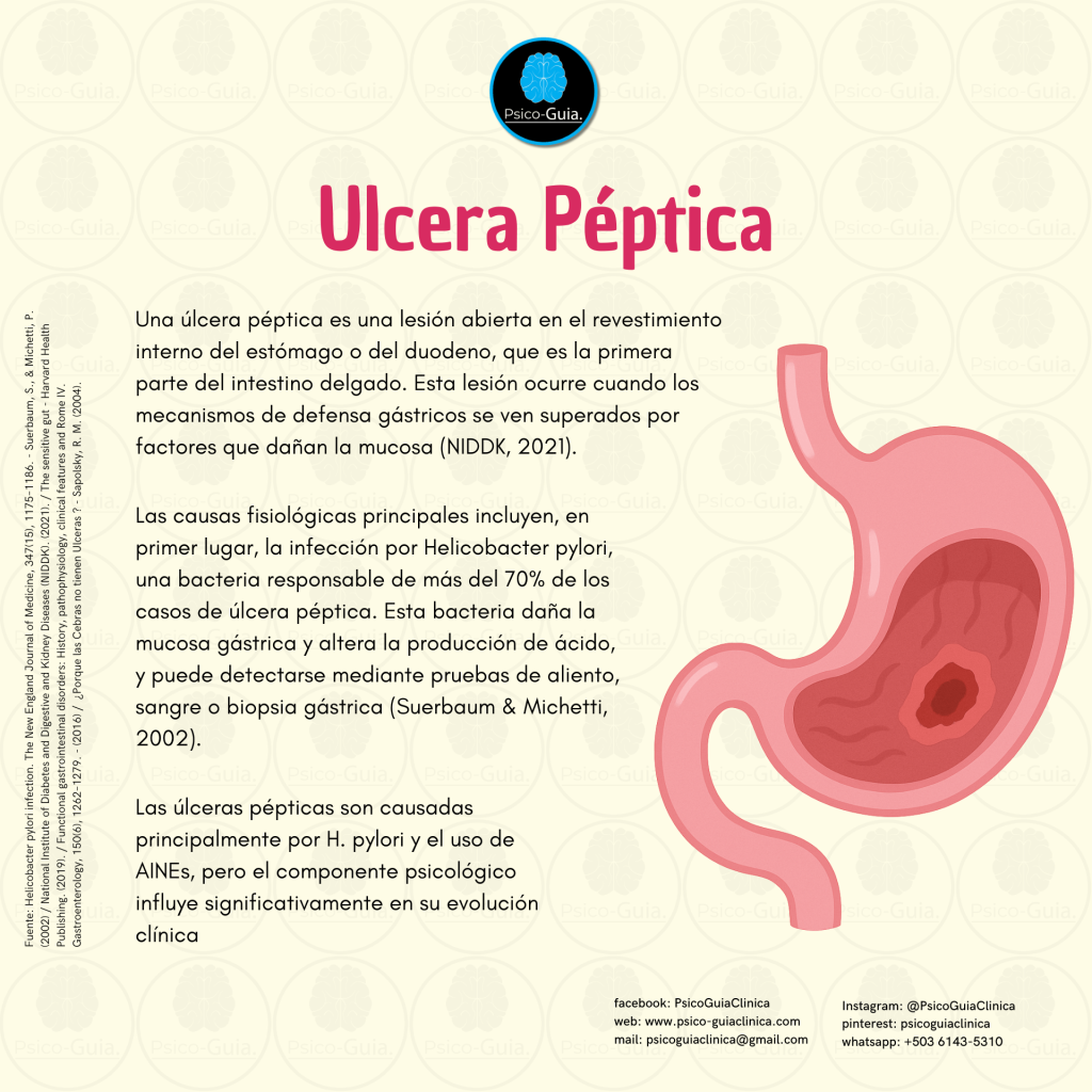 Una úlcera péptica es una lesión abierta en el revestimiento interno del estómago o del duodeno, que es la primera parte del intestino delgado. Esta lesión ocurre cuando los mecanismos de defensa gástricos se ven superados por factores que dañan la mucosa (NIDDK, 2021).