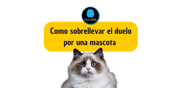 Como sobrellevar el duelo por una mascota